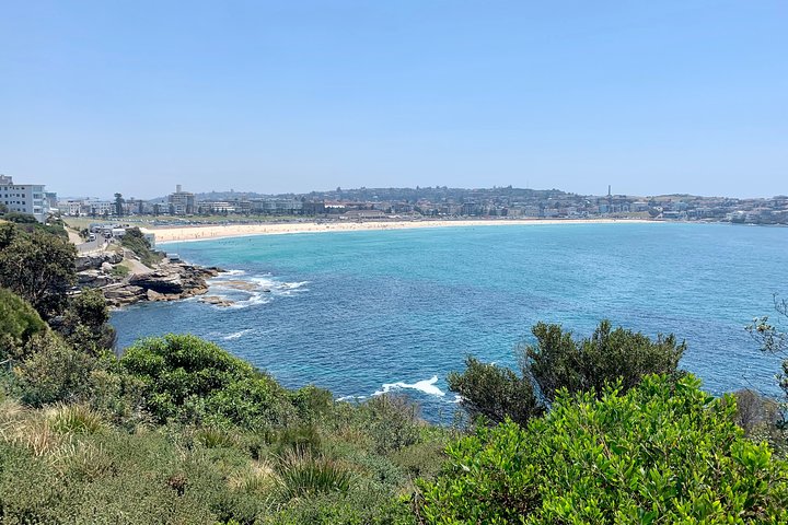 Bondi Beach