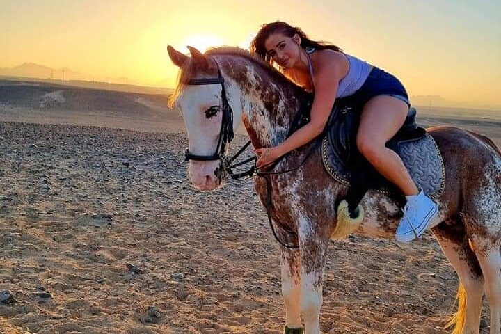 Horse Riding One hours At Amazing Desert With Transfer - Marsa Alam