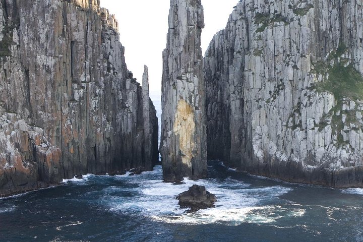 Tasman Island Cruise