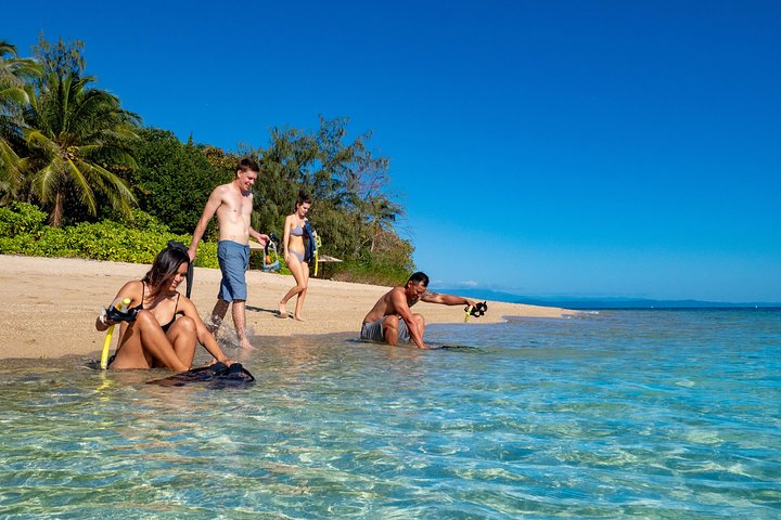 Snorkel from the beach
