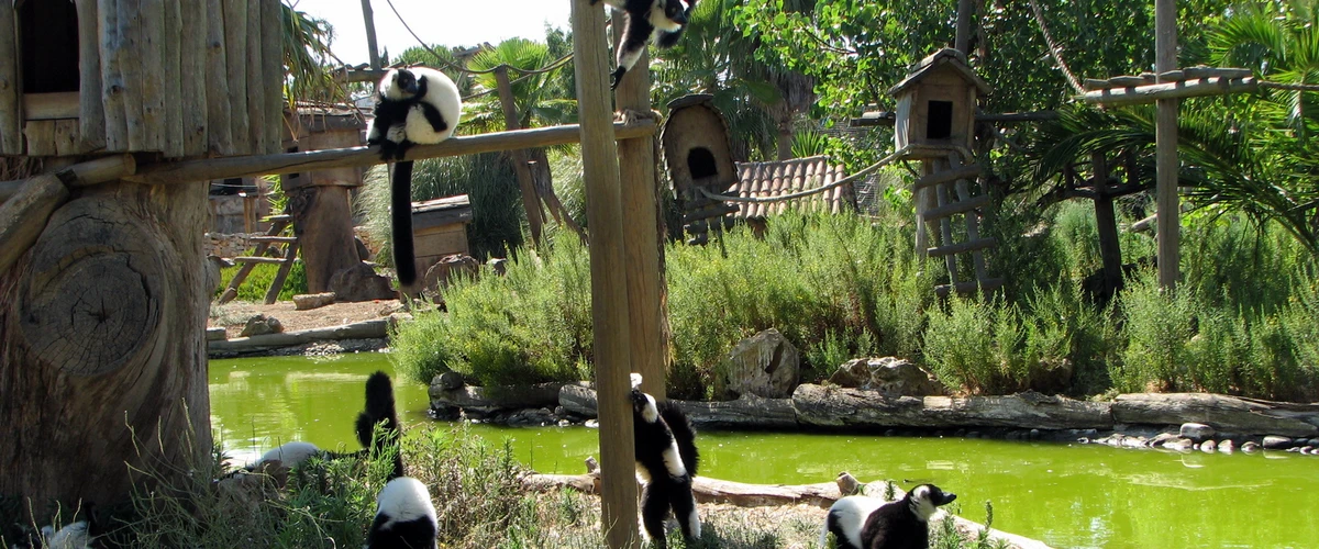 Grădina Zoologică din Lagos