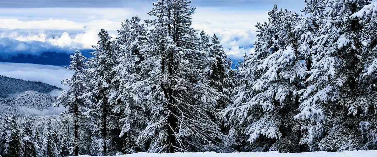 Ce face schiatul in Bansko atât atractiv?