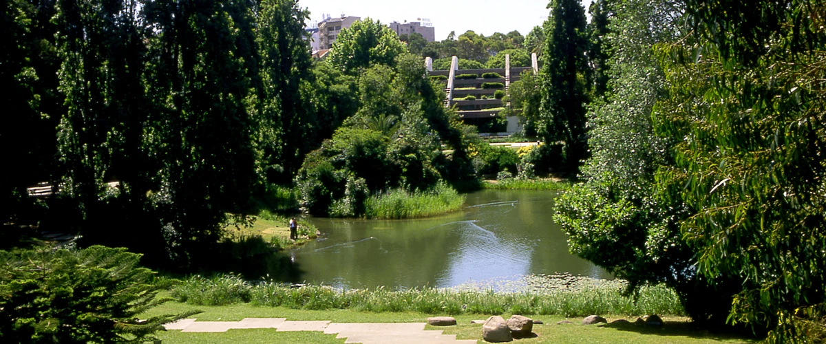 Parcul Florestal de Monsanto