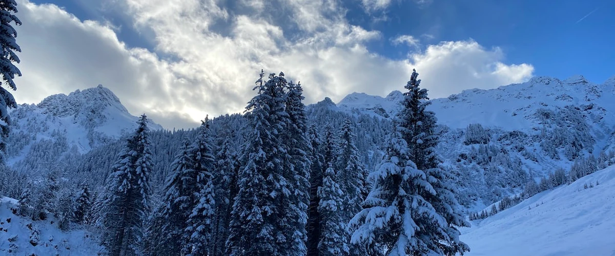 Alpbach