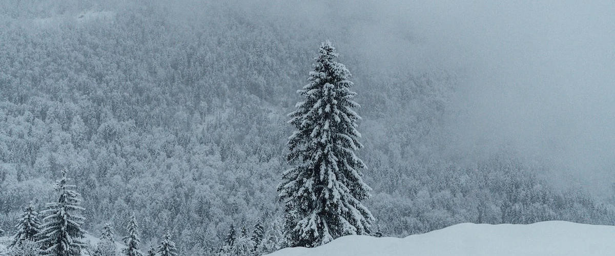 Schi fond în St Johann