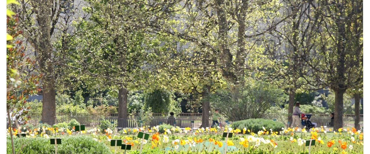 Jardin des Plantes