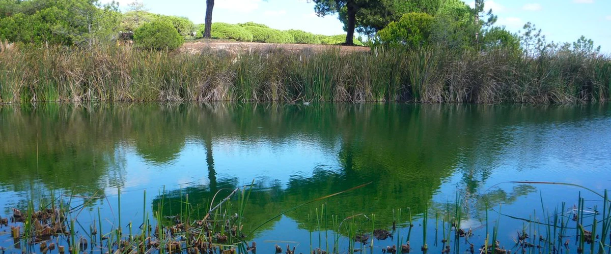 Parcul Natural Ria Formosa