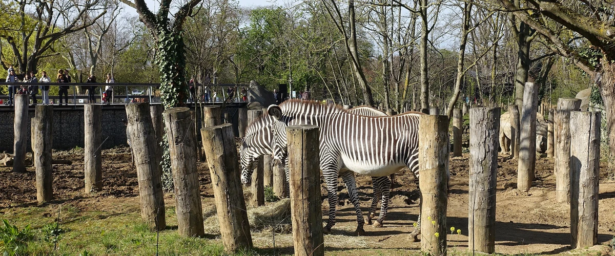 Parc Zoologic de Paris