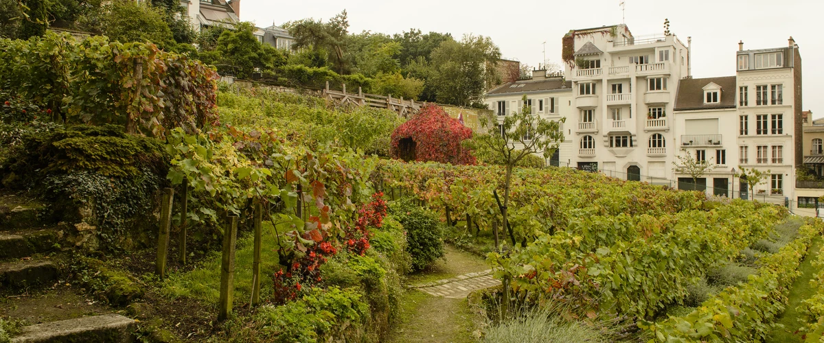 Podgorii din Paris