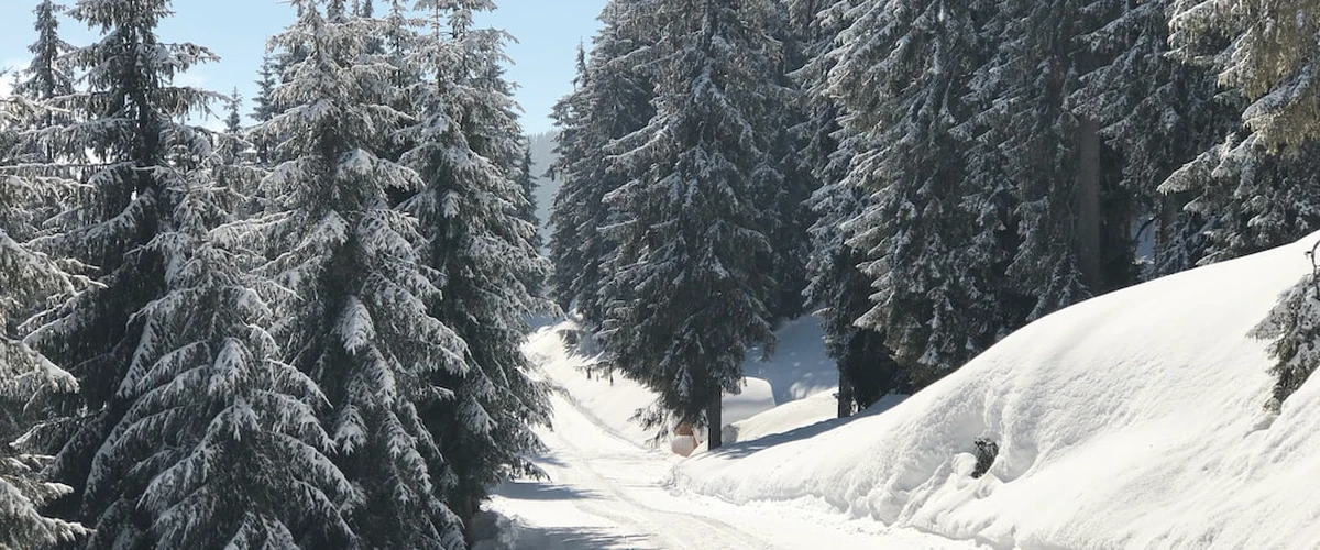 Schi fond în Ellmau