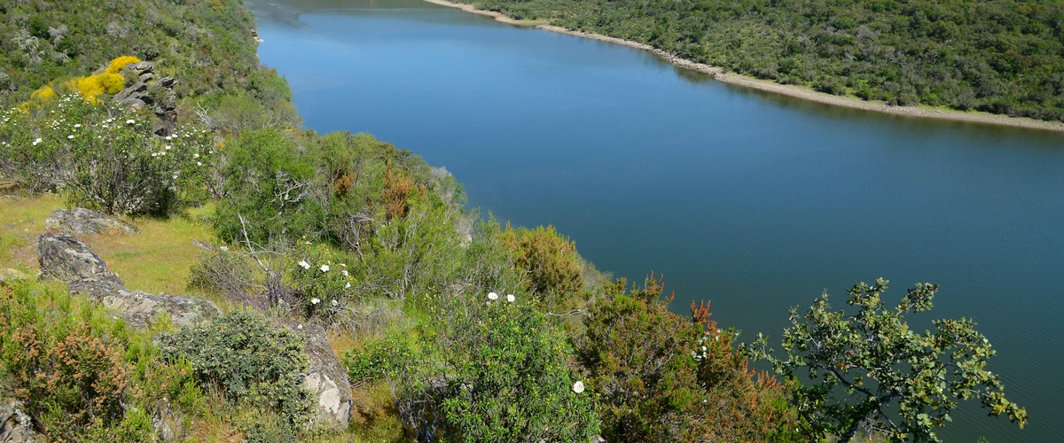 Rezervația naturală estuarul Tagusului