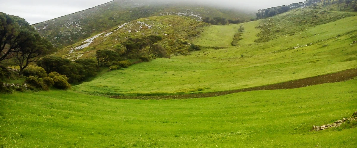 Rezervația Națională Serra de Montejunto