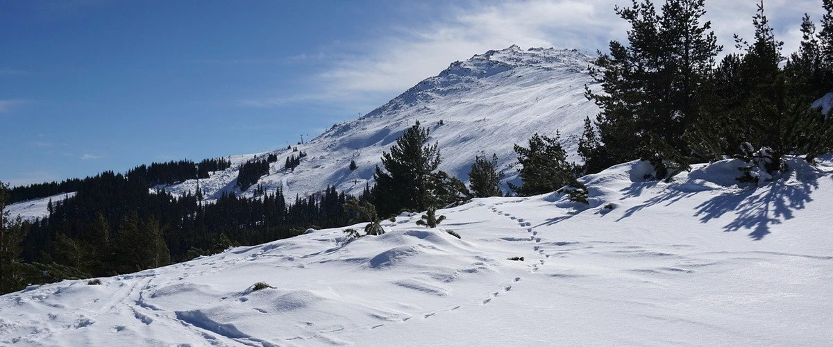 Vitosha