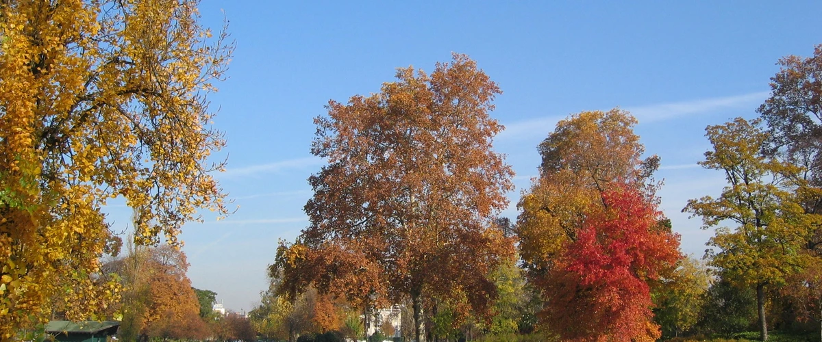 Bois de Vincennes