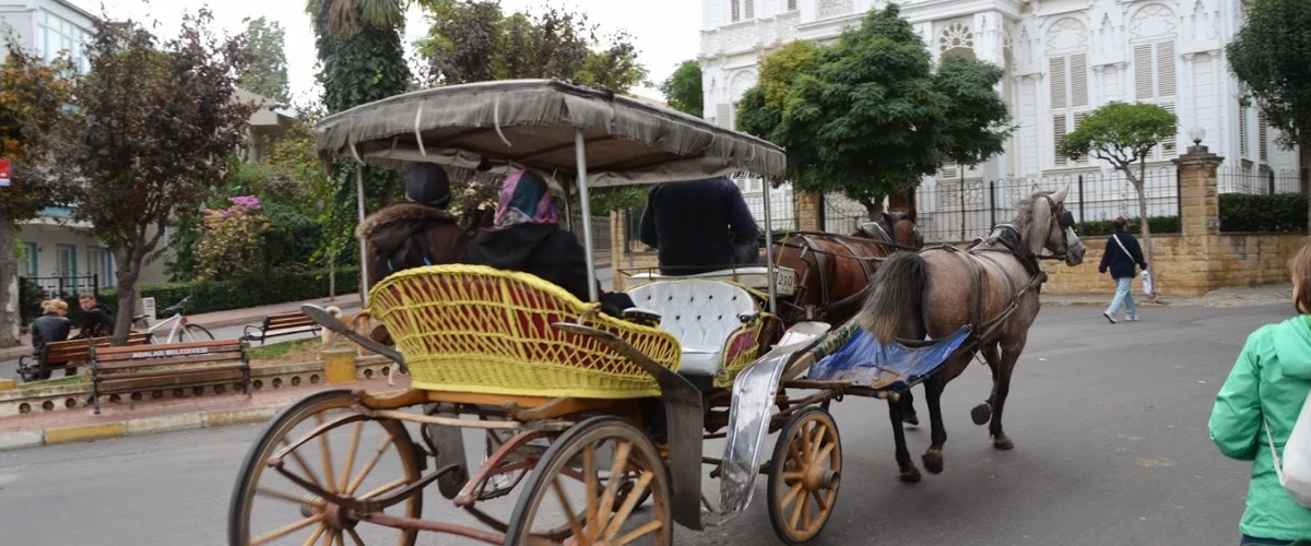 Călărește un fayton pe Insulele Prinților