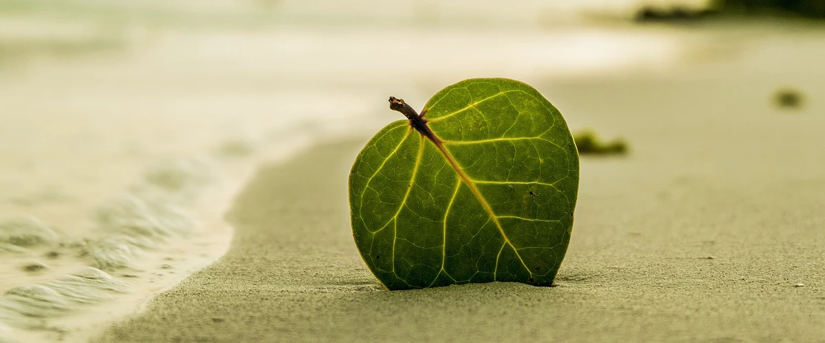 Green Beach