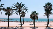 o plajă de nisip lângă un palmier în spania