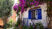 o vază umplută cu flori violete în grecia