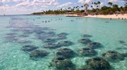 un grup de oameni care înoată într-un corp de apă în republica dominicană