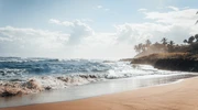 o plajă de nisip lângă un corp de apă în republica dominicană