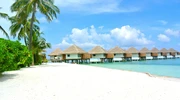 o plajă cu palmieri și un corp de apă în maldive