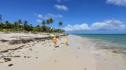 un grup de oameni pe o plajă în republica dominicană