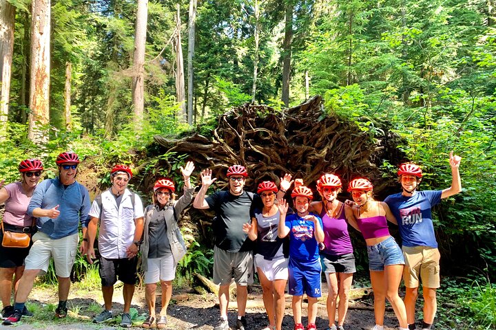 Stanley Park