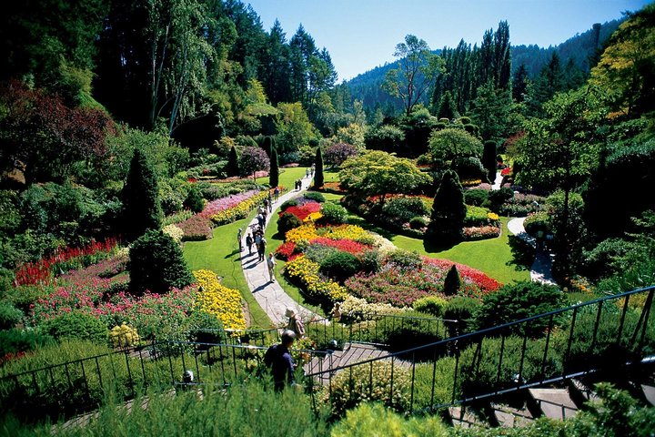 Butchart Gardens
