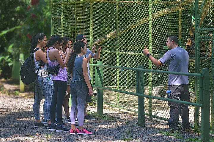 Visiting animals enclosures