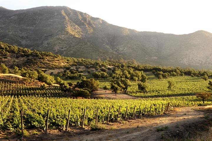 Maipo Valley