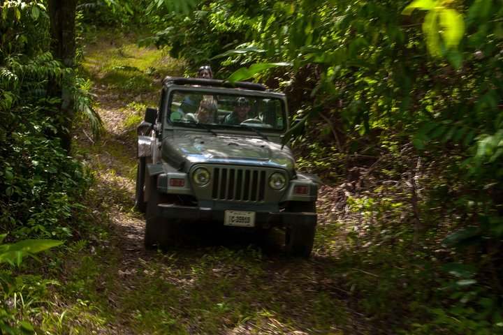 Jungle jeep