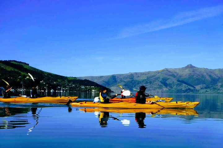 Most popular Shore excursion!