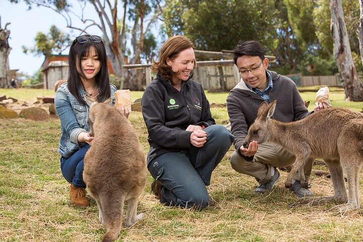 Meeting the Wildlife