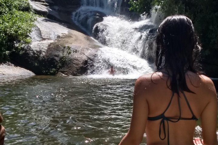 Paraty Plant Waterfall