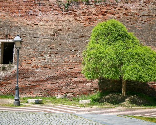 o potecă cu copaci pe marginea unui drum în alba iulia