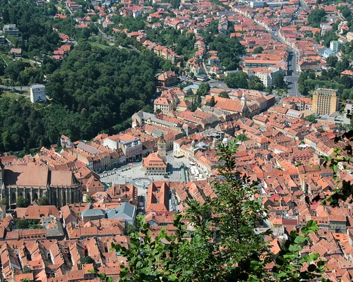 un canion cu copaci și o clădire în fundal în brașov