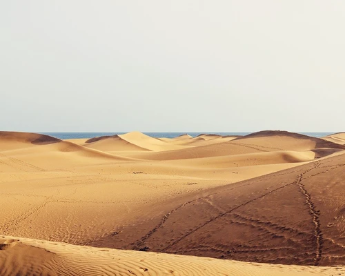 un prim plan al unei dune de nisip în gran canaria