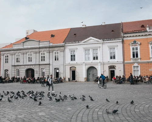 un stol de pescăruși stă în fața unei case în timișoara