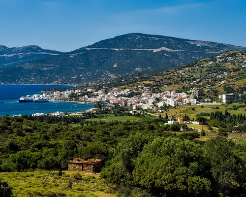 o turmă de oi care păştea pe un câmp verde luxuriant în marmaris