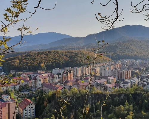 un copac cu un munte pe fundal în brașov