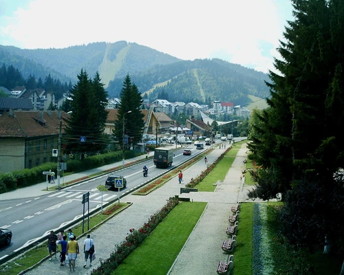 o potecă cu copaci pe marginea unui munte în predeal