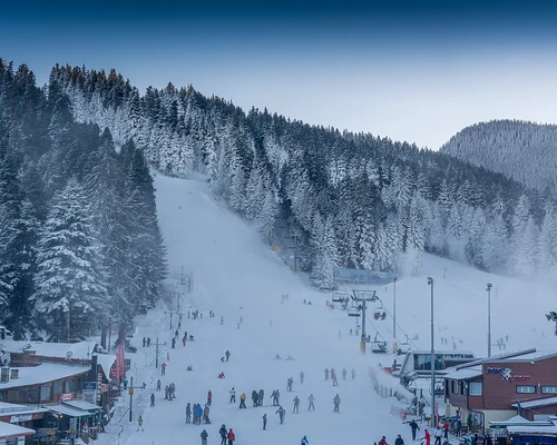 un grup de oameni călărind pe schiuri pe o pârtie acoperită cu zăpadă în borovets