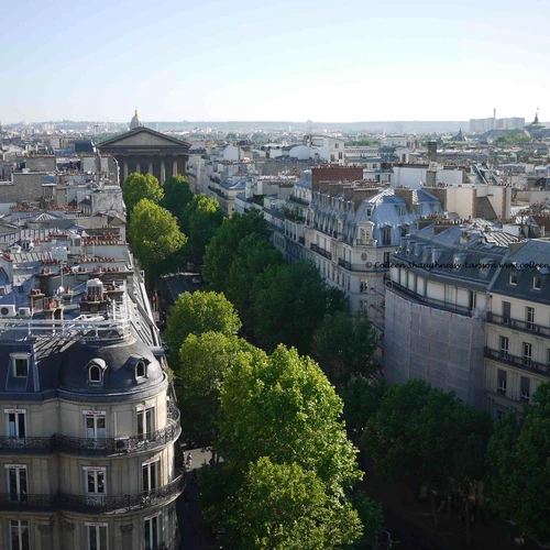 6 cele mai bune lucruri de făcut în primăvară la Paris