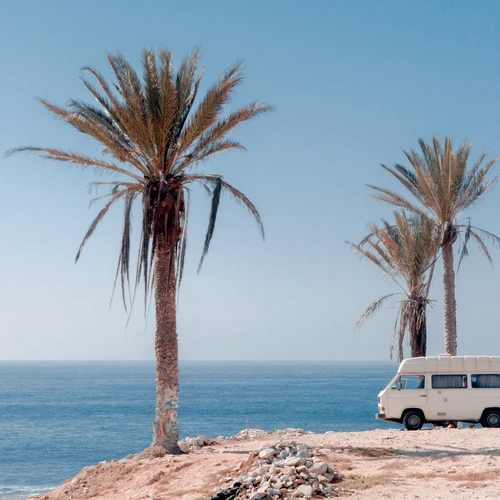 Cele mai bune 10 cluburi și baruri pe plajă din Mallorca
