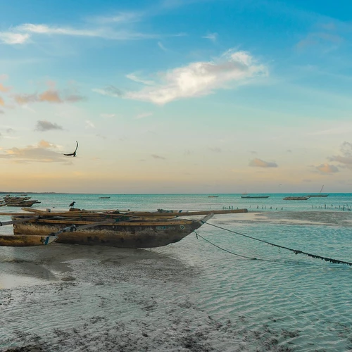 Top 5 plaje de neratat în Zanzibar, exoticele insule din Africa