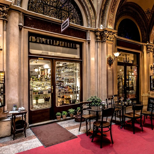 Cele mai bune 10 restaurante locale din Viena
