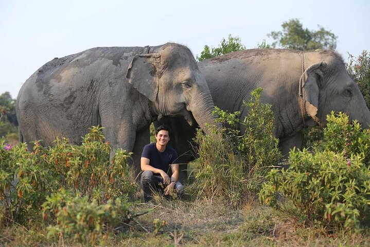 Kulen Elephant Adventure