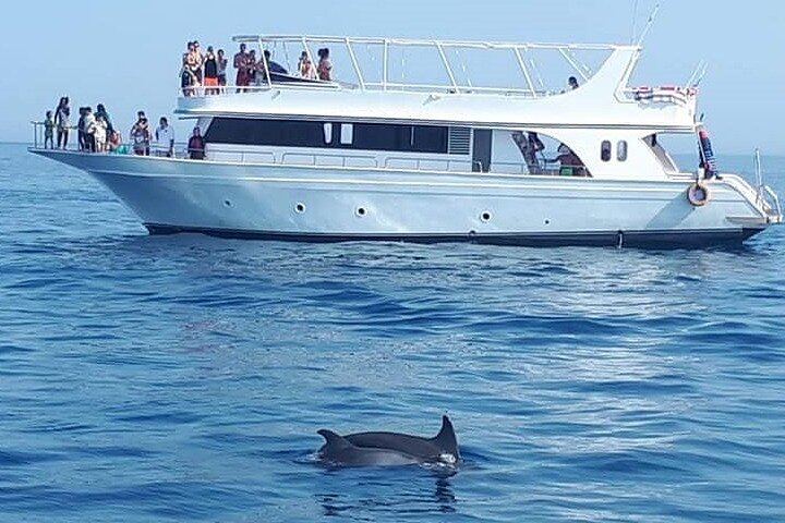 Dolphin House Snorkeling Sea Trip With Transfers – Marsa Alam