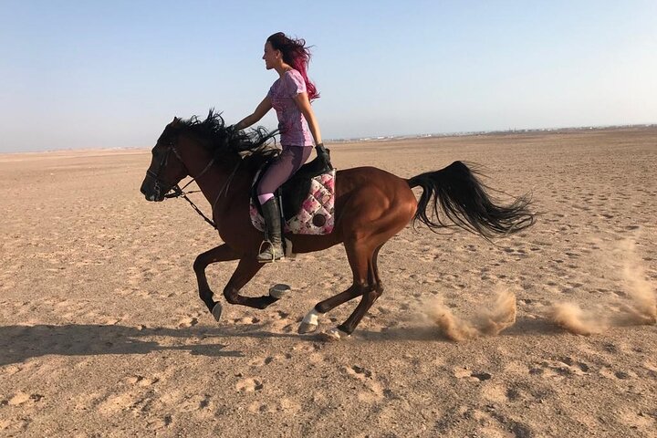 2 hours Desert horse Riding in Marsa Alam & Transfer - Marsa Alam
