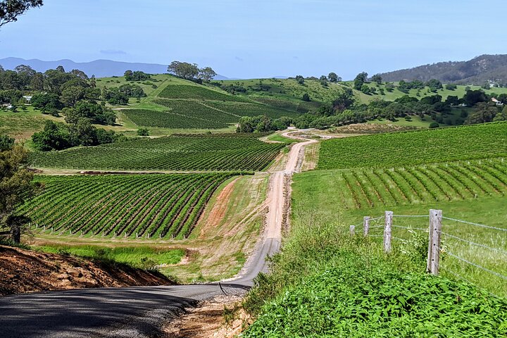 Take the road less visited and enjoy the Hunter Valley's quieter areas.
